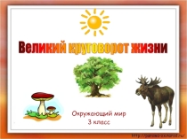 Презентация по окружающему миру на тему Великий круговорот жизни