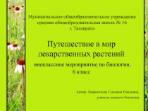 Внеклассное мероприятие Путешествие в мир лекарственных растений