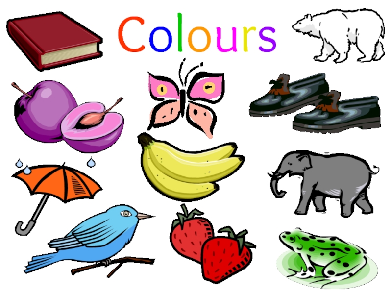 Colours Oppen lesson 5 form Colours Colours