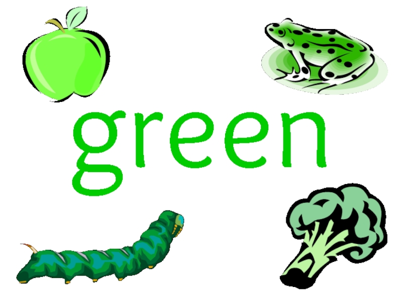 Colours Oppen lesson 5 form green green