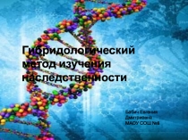 Презентация по биологии на тему Гибридологический метод(9 класс)