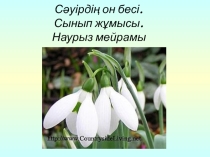 Презентация по казахскому языку на тему:Науырыз мейрамы
