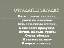 Презентация по окружающему миру на темуБурундуки