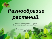 Презентация по окружающему миру Разнообразие растений (3 класс)