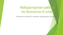 Презентация по биологии 6 класс  Изучение внешнего строения моховидных растений