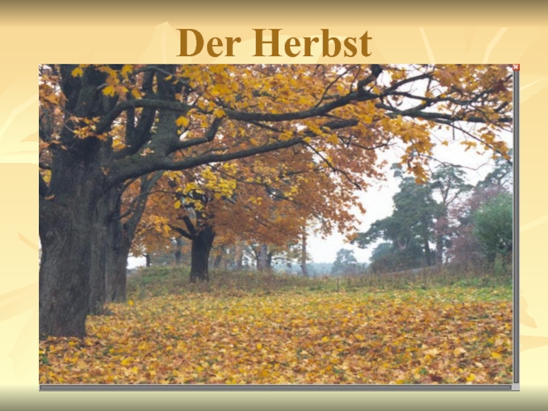 Презентация на тему Der Herbst Heute ist richtiges Herbstwetter. Es Der Herbst Heute ist richtiges Herbstwetter. Es ist nicht mehr warm. Die Sonne scheint nicht.