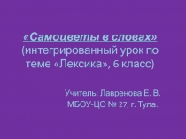 Презентация к уроку по темеЛексика.Самоцветы в словах6 класс