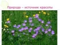 Презентация экологического проекта Вторая жизнь упаковки