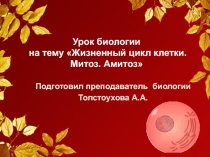 Презентация по биологии на тему:Жизненный цикл клетки, митоз, амитоз