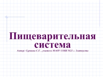 Презентация по биологии Пищеварительная система (8 класс)
