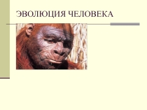 Презентация по предмету Естествознание, раздел Биология