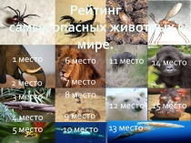 Презентация по биологии на тему Самые опасные животные