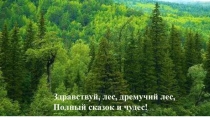 Презентация по окружающему миру на тему Лесная зона