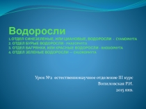 Презентация по биологии Водоросли - урок №2