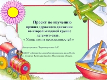 Презентация к проекту Улица полна неожиданностей