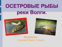 Презентация по географии на тему Осетровые рыбы(8 класс)