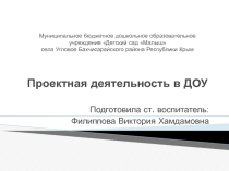 Презентация  Проектная деятельность в ДОУ