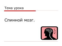 Презентация по биологии. Спиной мозг.