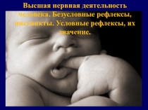 Презентация по биологии на тему:Высшая нервная деятельность человека. Безусловные рефлексы, инстинкты. Условные рефлексы, их значение