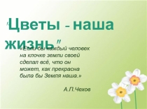 Презентация к творческому проекту Цветы - наша жизнь