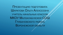 Презентация по литературе Сверчок