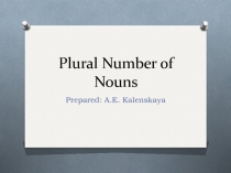 Презентация по английскому языку Plural Number of Nouns