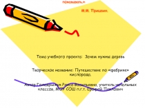 Презентация.Проектная деятельность Зачем нужны деревья