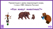 Презентация к уроку окружающего мира в 1 классе  Как живут животные.