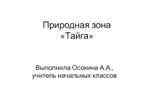 Презентация по окружающему миру на тему Тайга 4 класс