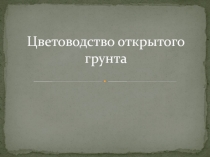 Презентация по цветоводству цветоводство открытого грунта