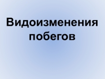 Презентация по биологии на тему Видоизменения побегов (6 класс)