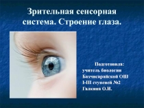 Презентация по биологии к уроку Зрительная сенсорная система