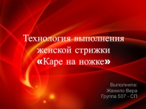 Стрижка женского зала Каре на ножке