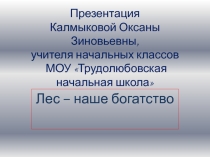 Презентация урока по изо на тему  Красота рядом с нами