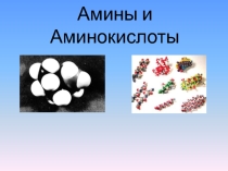 Амины+Аминокислоты, 2010 год, но хорошие материалы