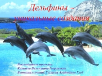 Проект Дельфины- уникальные создания
