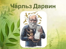 Презентация по биологии на тему Чарльз Дарвин