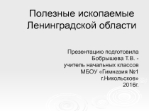 Презентация по окруэающему миру на тему Полезные ископаемые Ленинградской области