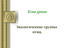 Презентация по биологии Экологические группы птиц