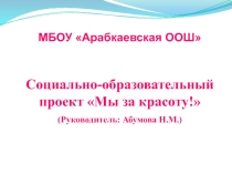 ТОС 2017г. Реализация проекта Мы за красоту!