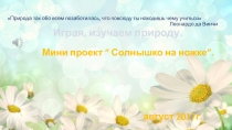 Проект Солнышко на ножке.
