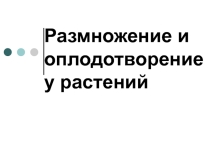Презентация по биологии Размножение и оплодотворение растений