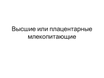 Презентация по биологии на тему Высшие плацентарные млекопитающие