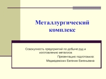 Металлургический комплекс. Совокупность предприятий по добыче руд и изготовлению металлов