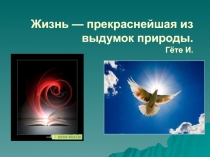 Презентация классный час по теме Ценность жизни