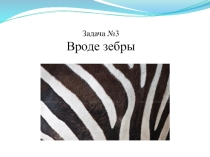 Презентация доклада, турнир юных физиков