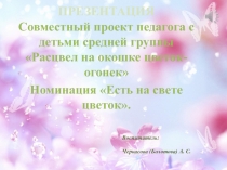 Презентация к совместному проекту педагога с детьми средней группы Расцвел на окошке цветок – огонек номинация Есть на свете цветок…