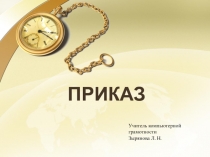 Презентация Компьютерная грамотность. Приказ