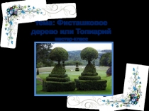 Урок мастер- класс Фисташковое дерево или топиарий