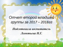 Отчёт о проделанной работе за год.